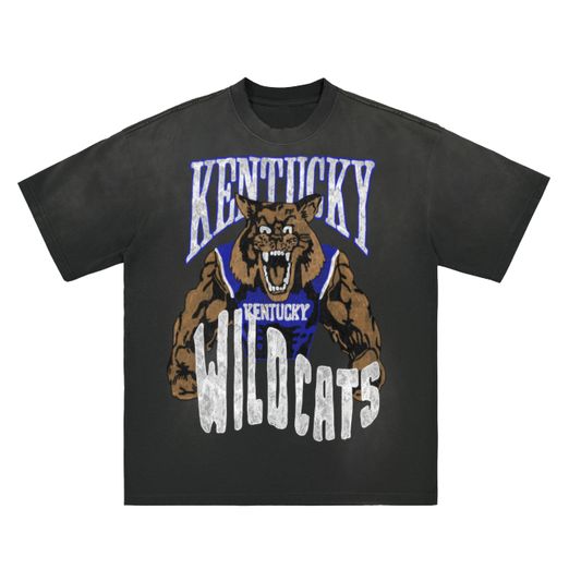 Kentucky Wildcats Monkey Washed Distressed Drop Shoulder Crew Neck T-Shirt - 270 GSM