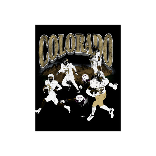 Vintage Colorado Buffalo Football Poster