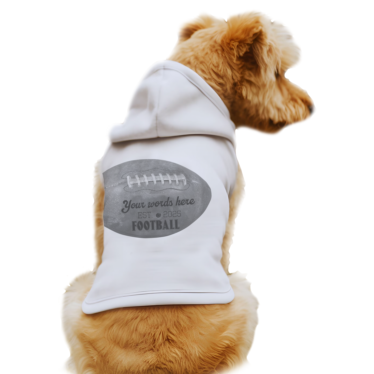 🏈 Gridiron Champ Pet Hoodie – Custom Vintage Football Design 🐾🔥 Pet Hoodie