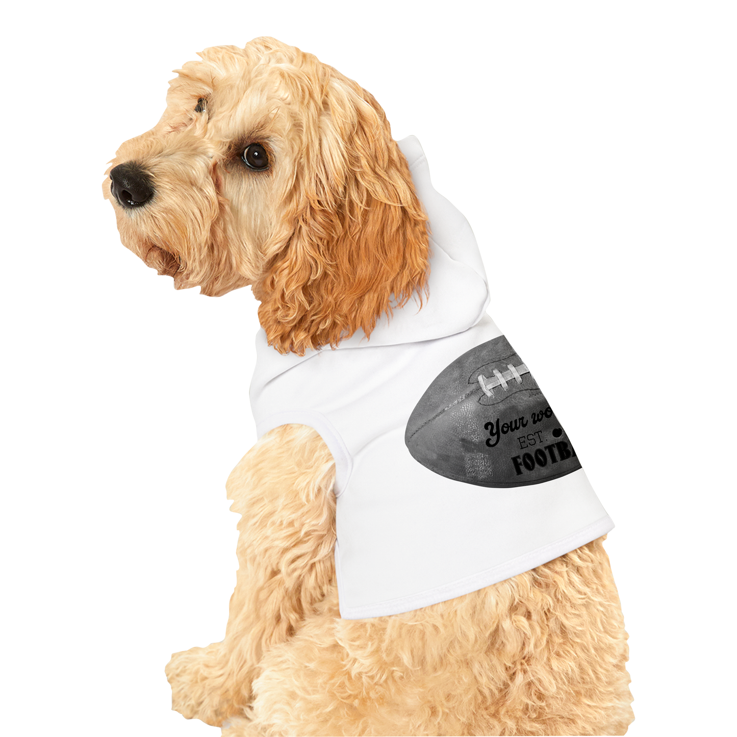 🏈 Gridiron Champ Pet Hoodie – Custom Vintage Football Design 🐾🔥 Pet Hoodie